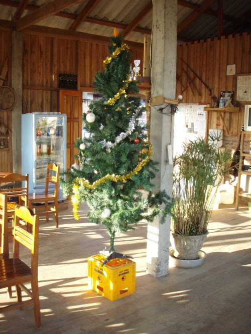 Laotian xmas tree